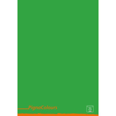 Pigna 02308751F quaderno per scrivere A4 Multicolore