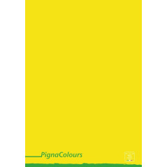 Pigna 02308751F quaderno per scrivere A4 Multicolore