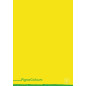Pigna 02308751F quaderno per scrivere A4 Multicolore