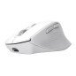 Trust Niven mouse Ufficio Mano destra RF senza fili + Bluetooth 3200 DPI - 26022 Trust Niven mouse Ufficio Mano destra RF senza fili + Bluetooth 3200 DPI - 26022
