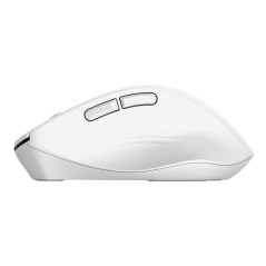 Trust Niven mouse Ufficio Mano destra RF senza fili + Bluetooth 3200 DPI