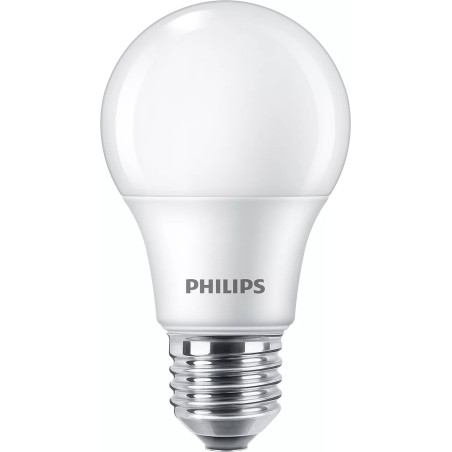 Philips Lampadina 60 W A60 E27