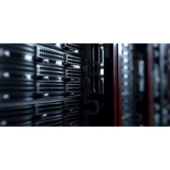 Western Digital Red WD142KFGX disco rigido interno 14 TB 7200 Giri/min 512 MB 3.5" Serial ATA III