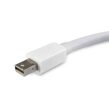 Equip Adattatore da Mini DisplayPort a DisplayPort, colore bianco
