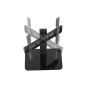 Equip Supporti TV universali da 32"-55 Equip Supporti TV universali da 32"-55