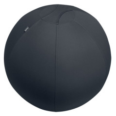 Leitz Active Sitzball 65cm palla medica Grigio Taglia piena