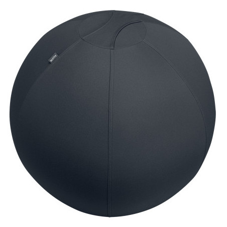 Leitz Active Sitzball 65cm palla medica Grigio Taglia piena