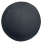 Leitz Active Sitzball 65cm palla medica Grigio Taglia piena Leitz Active Sitzball 65cm palla medica Grigio Taglia piena