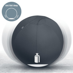 Leitz Active Sitzball 65cm palla medica Grigio Taglia piena