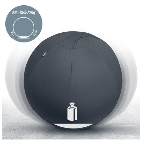 Leitz Active Sitzball 65cm palla medica Grigio Taglia piena