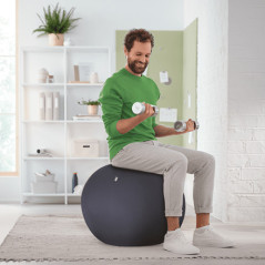 Leitz Active Sitzball 65cm palla medica Grigio Taglia piena