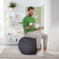 Leitz Active Sitzball 65cm palla medica Grigio Taglia piena Leitz Active Sitzball 65cm palla medica Grigio Taglia piena