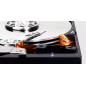 Western Digital Blue disco rigido interno 2 TB 7200 Giri/min 256 MB 3.5" SATA