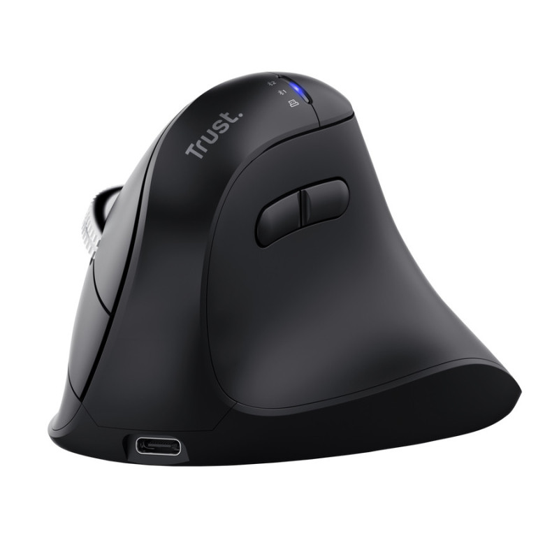 Trust Vyran mouse Universale Mano destra RF senza fili + Bluetooth Ottico 4800 DPI Trust Vyran mouse Universale Mano destra RF senza fili + Bluetooth Ottico 4800 DPI