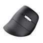 Trust Vyran mouse Universale Mano destra RF senza fili + Bluetooth Ottico 4800 DPI Trust Vyran mouse Universale Mano destra RF senza fili + Bluetooth Ottico 4800 DPI