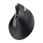 Trust Vyran mouse Universale Mano destra RF senza fili + Bluetooth Ottico 4800 DPI Trust Vyran mouse Universale Mano destra RF senza fili + Bluetooth Ottico 4800 DPI