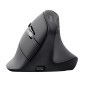 Trust Vyran mouse Universale Mano destra RF senza fili + Bluetooth Ottico 4800 DPI Trust Vyran mouse Universale Mano destra RF senza fili + Bluetooth Ottico 4800 DPI
