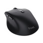 Trust Zevo mouse Universale Mano destra RF senza fili + Bluetooth Ottico 4000 DPI Trust Zevo mouse Universale Mano destra RF senza fili + Bluetooth Ottico 4000 DPI