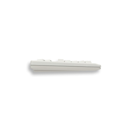 CHERRY TouchBoard G80-11900 tastiera Industriale USB QWERTY Inglese Grigio