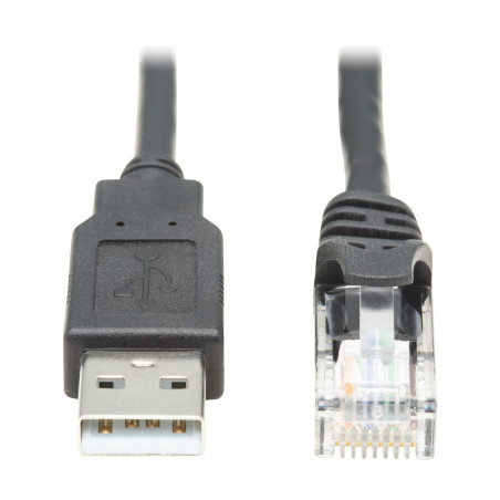 Tripp Lite U009-010-RJ45-X adattatore per inversione del genere dei cavi RJ-45 USB 2.0 Type-A Nero
