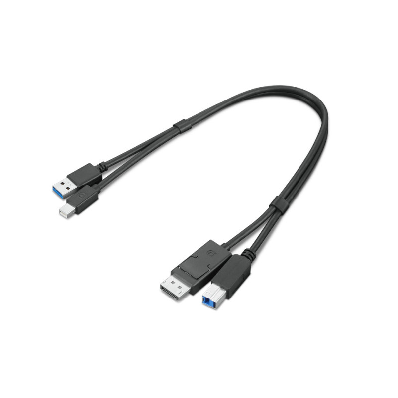 Lenovo 4X91D11453 cavo USB USB 3.2 Gen 1 (3.1 Gen 1) 0,43 m USB A USB B Nero Lenovo 4X91D11453 cavo USB USB 3.2 Gen 1 (3.1 Gen 1) 0,43 m USB A USB B Nero