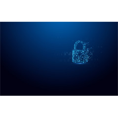 Kingston Technology IronKey 32GB Vault Privacy 50 crittografia AES-256, FIPS 197
