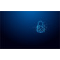 Kingston Technology IronKey 32GB Vault Privacy 50 crittografia AES-256, FIPS 197