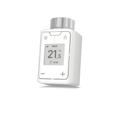 DECT 302 International