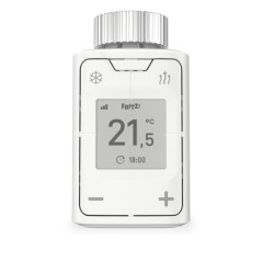 DECT 302 International