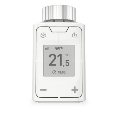 DECT 302 International
