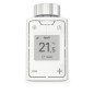 DECT 302 International