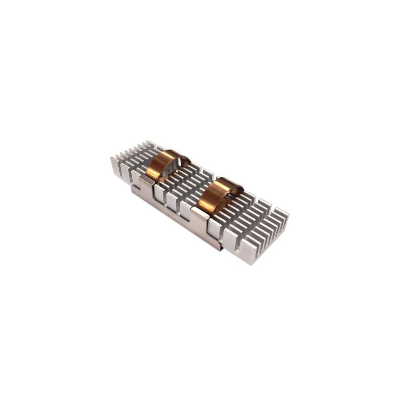 QNAP HS-M2SSD-02 sistema di raffreddamento per computer Unità allo stato solido Dissipatore di calore/Radiatore Verde QNAP HS-M2SSD-02 sistema di raffreddamento per computer Unità allo stato solido Dissipatore di calore/Radiatore Verde