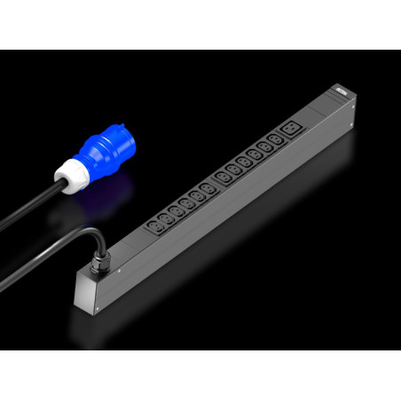 Rittal 7979.110 unità di distribuzione dell'energia (PDU) 13 presa(e) AC 0U Nero