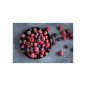 Electrolux FRIGORIFERO COMBINATO STATIC LOW FROST CLASSE E LNA6LE18S