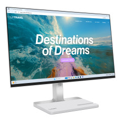 Lenovo L24D-4C Monitor