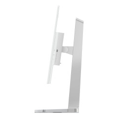 Lenovo L24D-4C Monitor