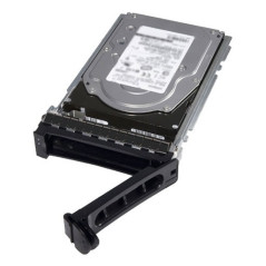 DELL 161-BBRC disco rigido interno 2 TB 7200 Giri min 3.5" Serial ATA III