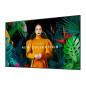 Samsung QH98C Pannello piatto per segnaletica digitale 2,49 m (98") LCD Wi-Fi 700 cd/m² 4K Ultra HD Nero Tizen 7.0 24/7