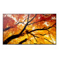 Sharp MultiSync M862 Pannello piatto per segnaletica digitale 2,18 m (86") LCD 550 cd/m² 4K Ultra HD Nero 24/7