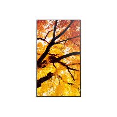 Sharp MultiSync M502 Pannello piatto per segnaletica digitale 127 cm (50") LCD 550 cd/m² 4K Ultra HD Nero 24/7