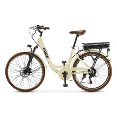 Nilox J5 PRO Crema, Marrone, Nero, Acciaio Acciaio 66 cm (26") 25,5 kg Litio