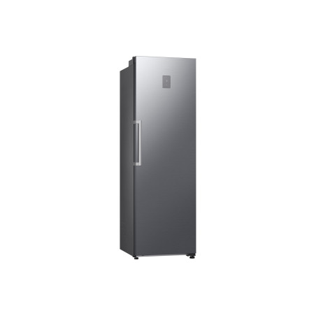 Samsung RR70H39CCTEF frigorifero Libera installazione 387 L Argento