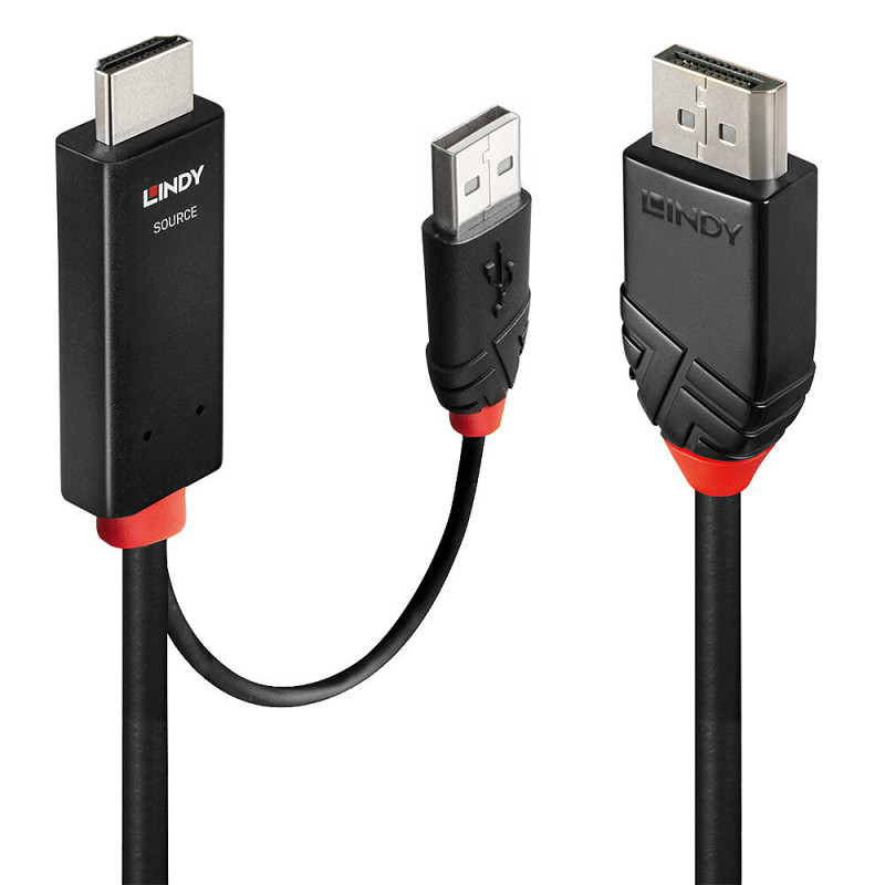Lindy 41499 cavo e adattatore video 2 m HDMI + USB Type-A DisplayPort Nero Lindy 41499 cavo e adattatore video 2 m HDMI + USB Type-A DisplayPort Nero
