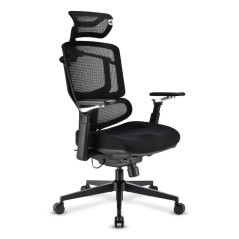 Sharkoon OfficePal C50 Seduta imbottita Schienale a rete