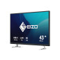 EIZO FlexScan EV4340X-BK Monitor PC 108 cm (42.5") 3840 x 2160 Pixel 4K Ultra HD LCD Nero EIZO FlexScan EV4340X-BK Monitor PC 108 cm (42.5") 3840 x 2160 Pixel 4K Ultra HD LCD Nero