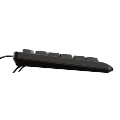Trust Primo tastiera Universale USB QWERTY Inglese US Nero