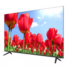 New Majestic FL65VD UHD V2 165,1 cm (65") 4K Ultra HD Smart TV Wi-Fi Nero 230 cd/m²
