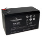 Tecnoware EACPE12V09ATWP batteria UPS Acido piombo (VRLA) 12 V 9 Ah Tecnoware EACPE12V09ATWP batteria UPS Acido piombo (VRLA) 12 V 9 Ah
