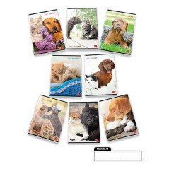 Pigna 8005235100411 quaderno per scrivere A4 42 fogli Multicolore