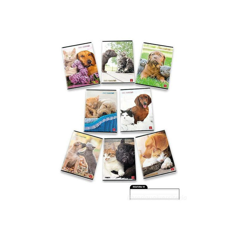 Pigna 8005235100411 quaderno per scrivere A4 42 fogli Multicolore